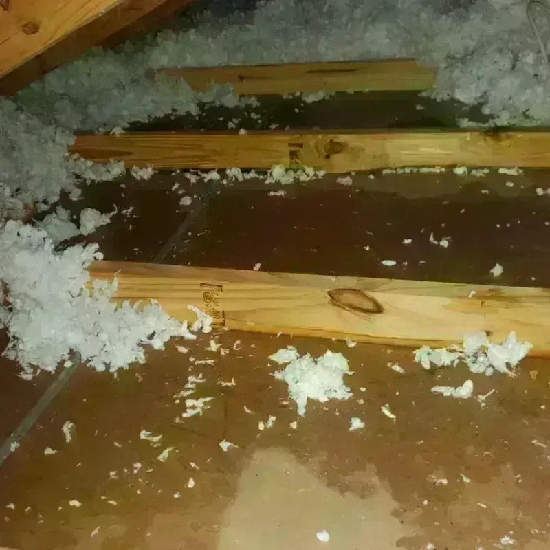 Attic Water Damage in Woodruff, SC