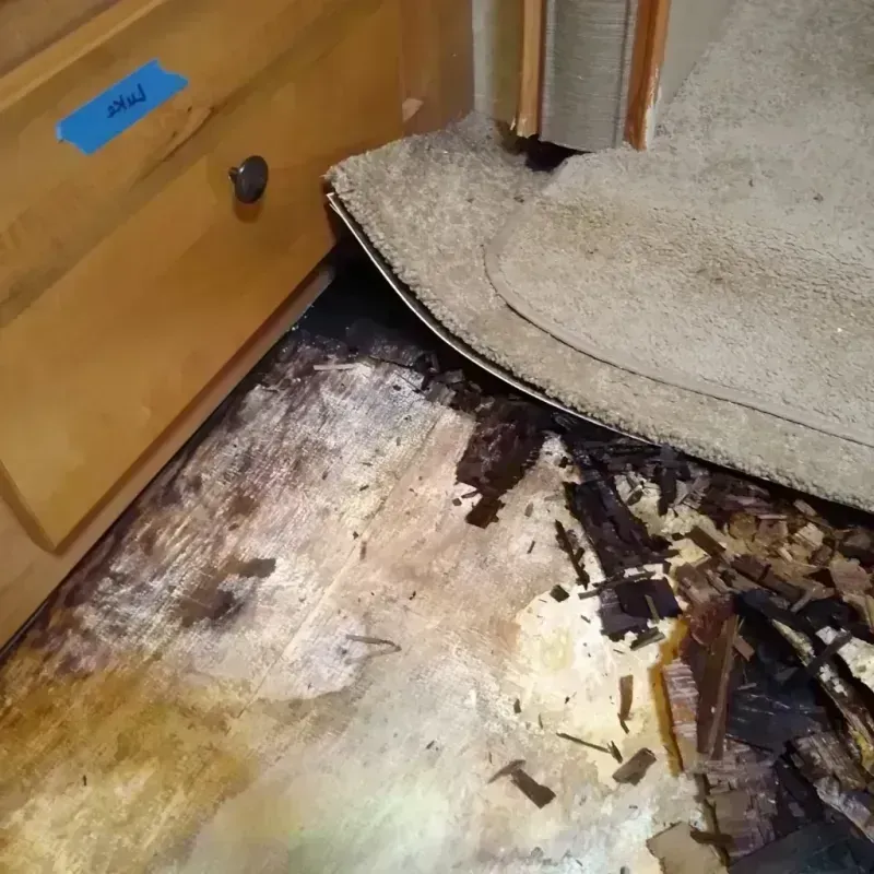 Wood Floor Water Damage in Woodruff, SC